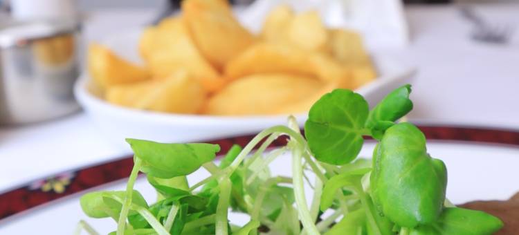 百年酒店(Centennial Hotel)图片