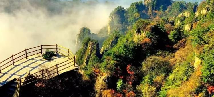 花筑·凤鸾台温泉民宿(老君山云景索道店)图片