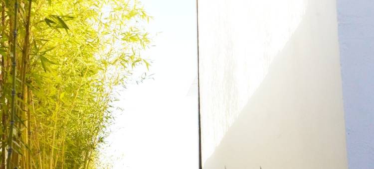 丽江·鳳庐Secretplace禅修|乡愁|疗愈|旅居民宿(拉市海店)图片