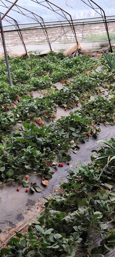 花筑·泗水姥姥家民宿(尼山圣境店)图片