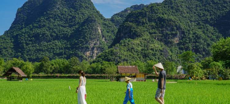 崇左大新明仕那里酒店图片