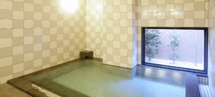 露樱酒店藤枝站北店(Hotel Route-Inn Fujieda-Eki Kita)图片