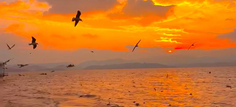 格林豪泰酒店(天津滨海新区塘沽地铁站店)图片