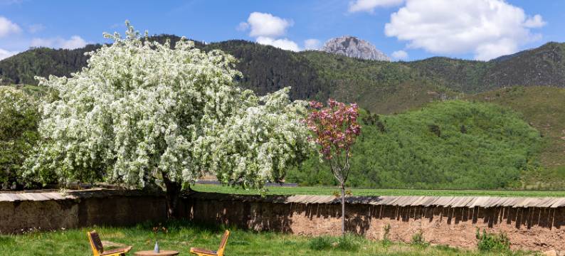 香格里拉青雨·见山归璞庄园(纳帕海景区店)图片