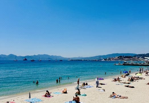 Luxury Apartment, A/C, Park View, Gated ResidenceHotel Overview