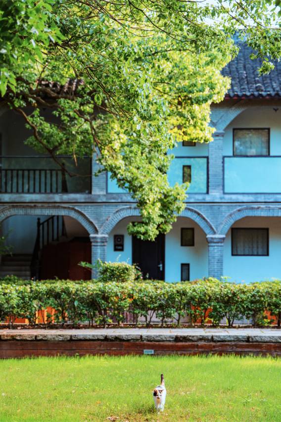 同里花间堂·丽则女学图片