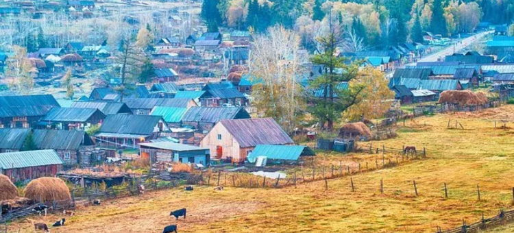 牧峰居民宿(白哈巴风景区店)图片