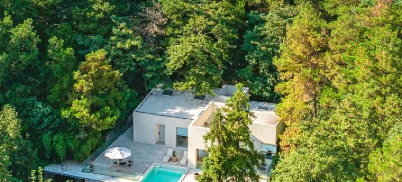 武汉樾和林泉白玉兰民宿图片