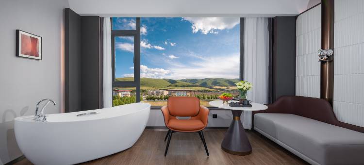 朵兰达V酒店(阿坝县店)图片