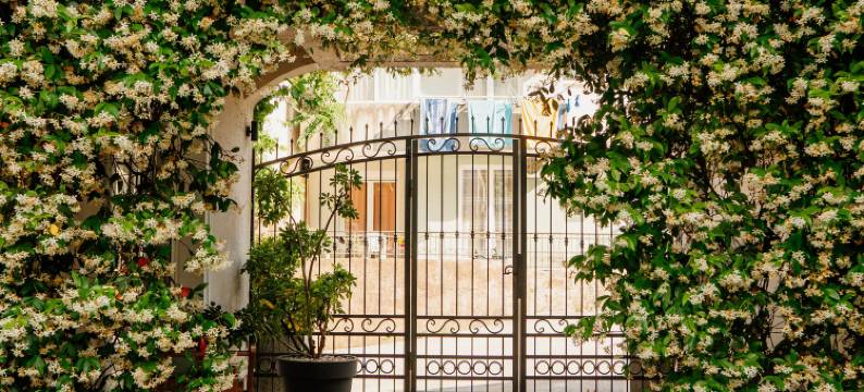 船长别墅(Apartments Captain's Villa)图片