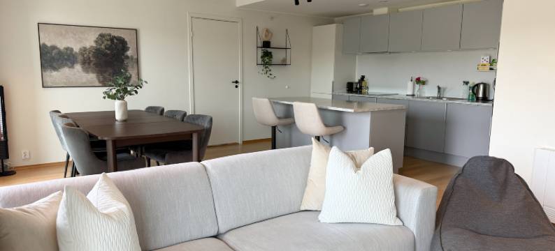 Large luxurious apartment with private terrace and parking图片