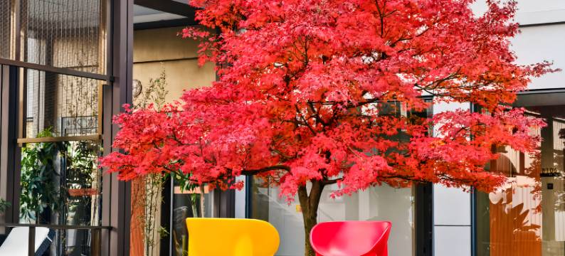 昆明官渡豪生Life酒店(昆明国际会展中心双桥夜市风情街店)图片