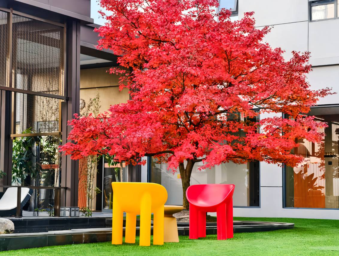 昆明官渡豪生Life酒店(昆明国际会展中心双桥夜市风情街店)图片