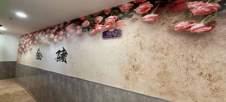 拾柒号轻奢浪漫氛围美宿(南京新街口地铁站店)图片