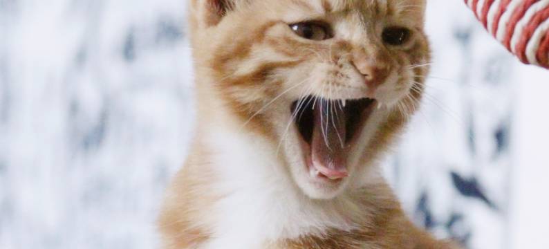 太原自由意志·青年旅舍图片