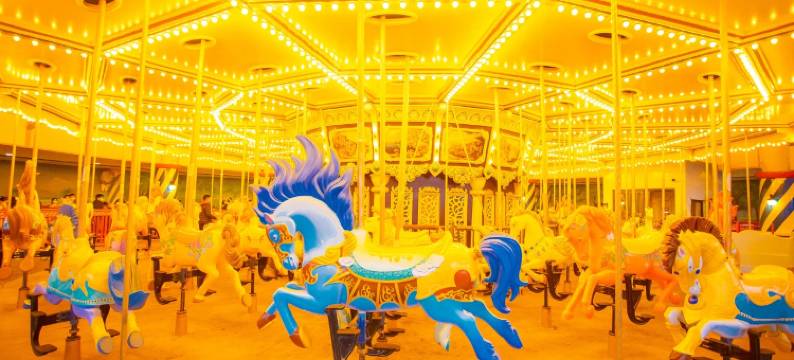 郑州银基冰雪酒店(动物王国店)图片