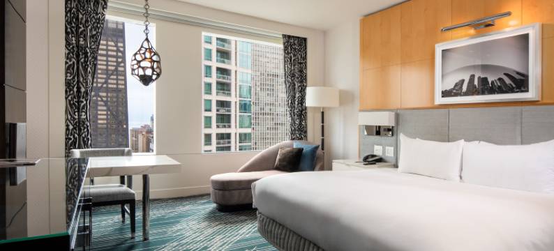 芝加哥壮丽大道索菲特酒店(Sofitel Chicago Magnificent Mile)图片