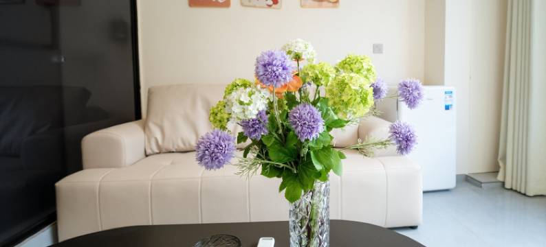 宿泱Su Yang Apartment民宿(福鼎中泱府店)图片