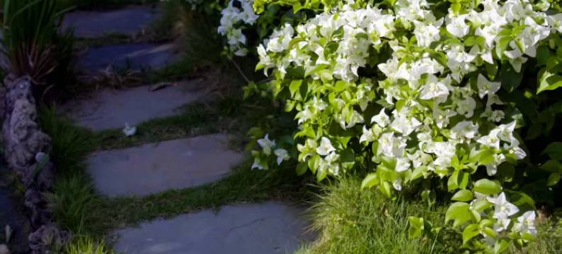 舟洲美舍(涠洲岛店)图片