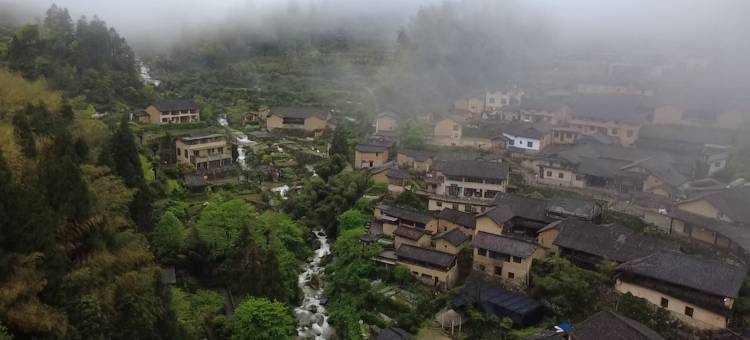 花漫里·禅修疗愈民宿(云和梯田景区店)图片