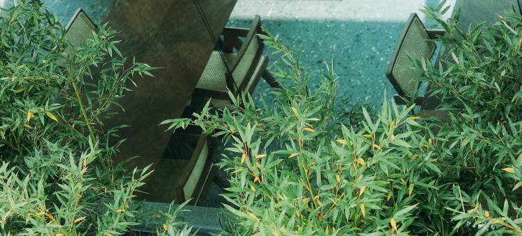 携程度假农庄(日照岚山联营店)图片
