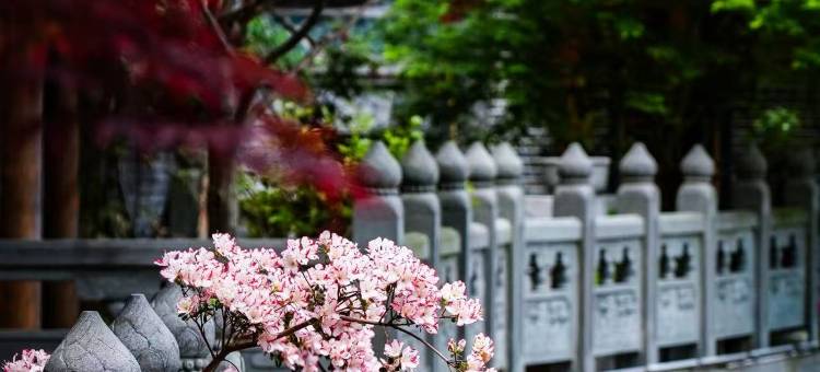 武当山云外山居(琼台景区店)图片