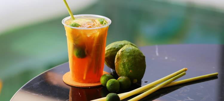 开平塘口海农岛酒店图片