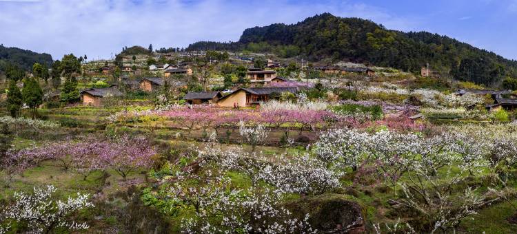 岷山·幸福岭民宿图片