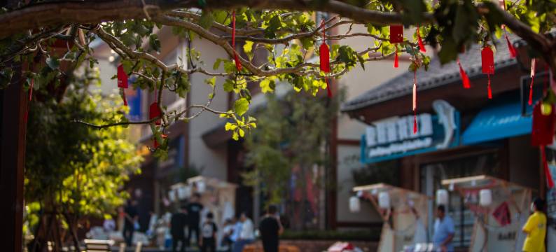 大连隐汐温泉酒店(大连金石滩盛唐岚山店)图片