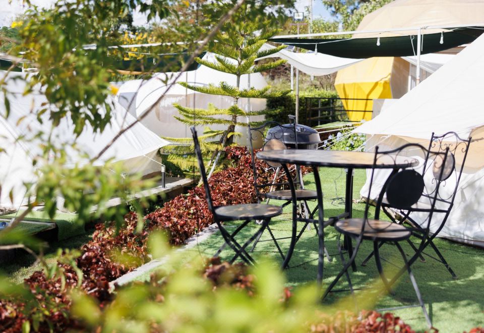 Ozone by Bankhaokho Hotel Overview