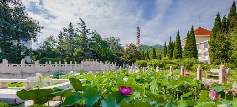 胜利油田烟台健康服务中心图片
