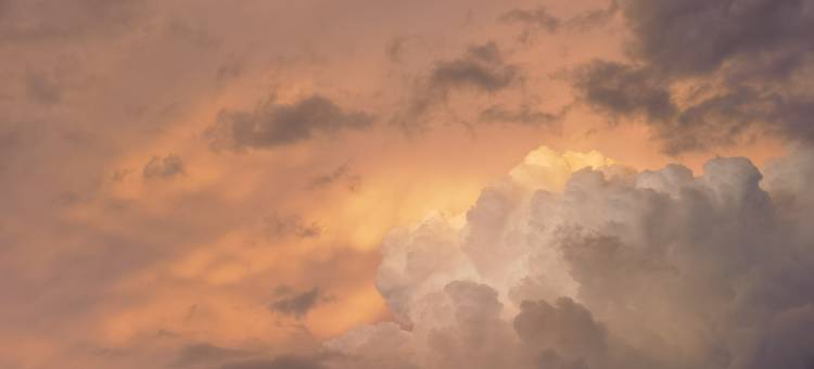 东阁淑苑酒店(大滩店)图片