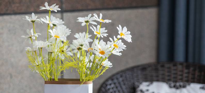 安吉园外园民宿(竹博园灵峰山店)图片