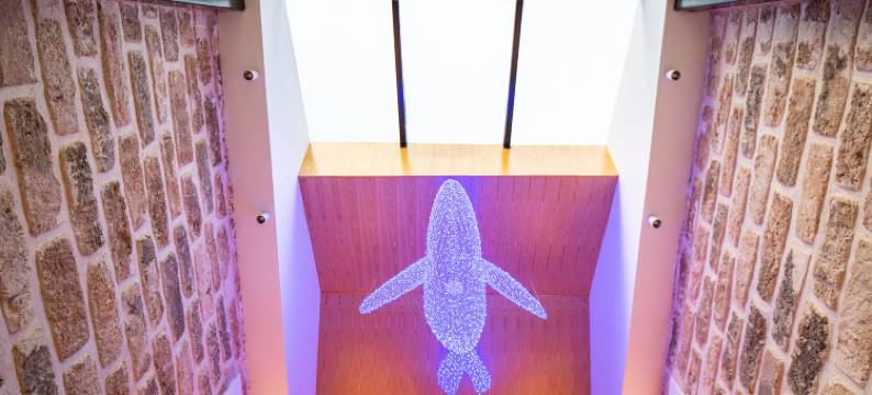 涠洲岛布氏鲸艺术酒店图片