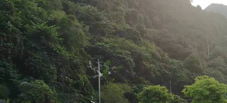 靖西念八部落民宿(通灵大峡谷店)图片