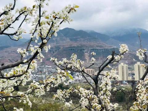 花屿·轻奢酒店(雅安汉源九襄店)图片