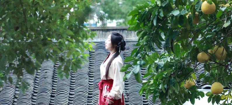 绍兴拾贰朴宿(鲁迅故里店)图片