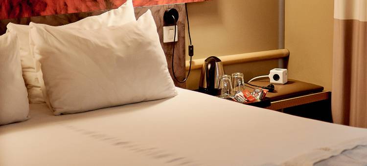 伊尔库茨克中心宜必思酒店(Ibis Irkutsk Tsentr Hotel)图片