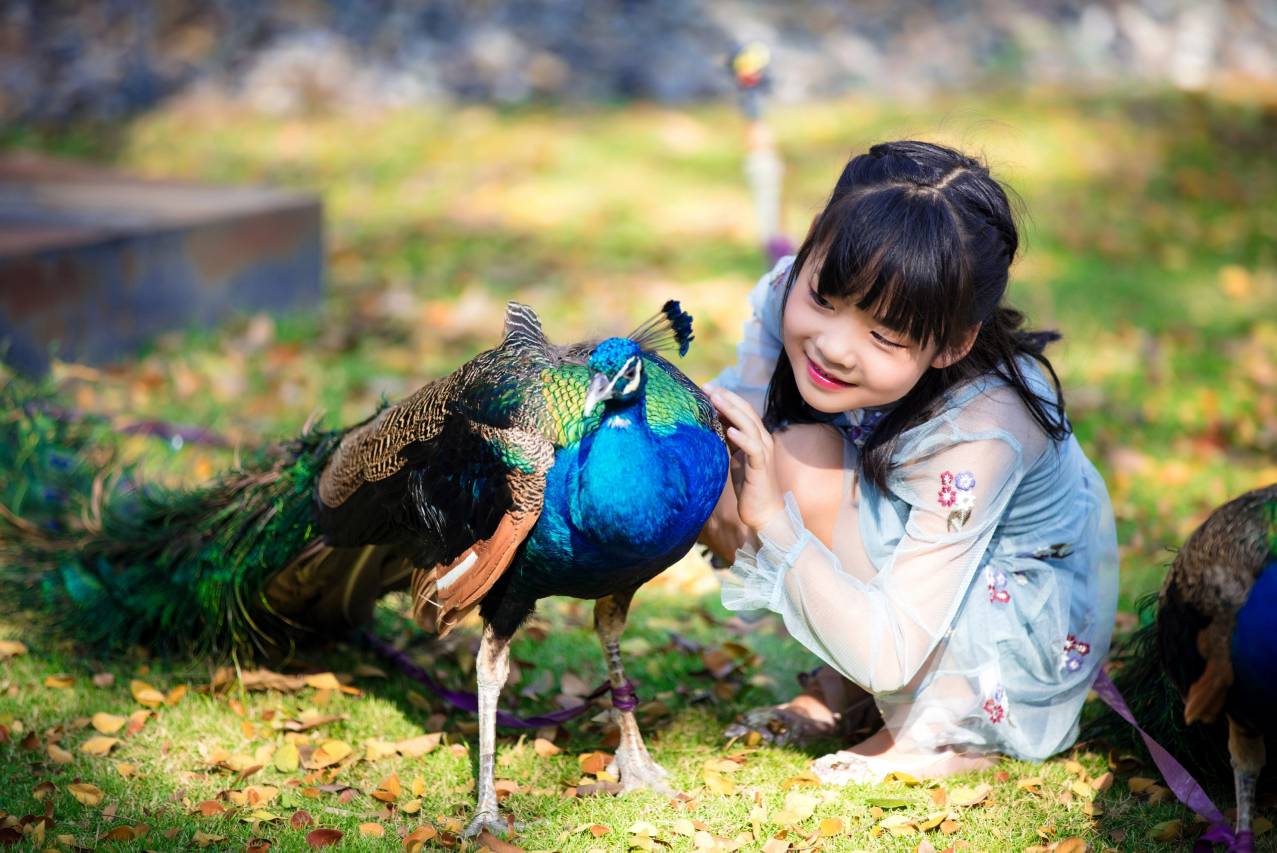 西双版纳云投喜来登大酒店图片