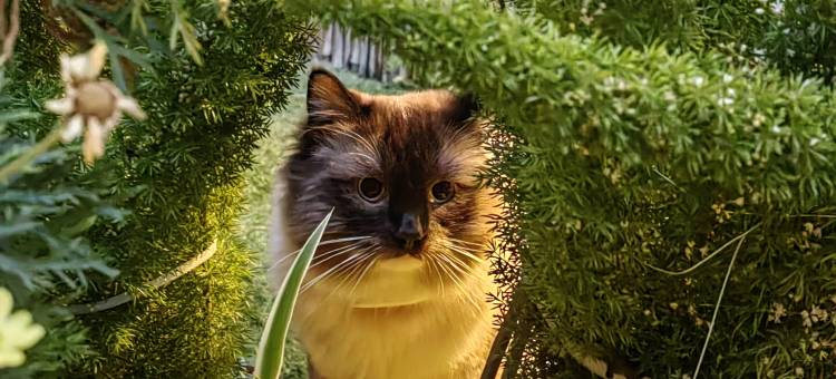 大理核朴轻宿(大理古城店)图片