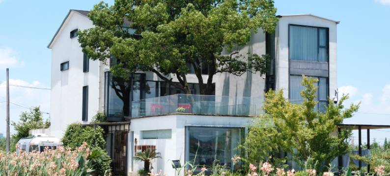 陶所花庄一号民宿图片