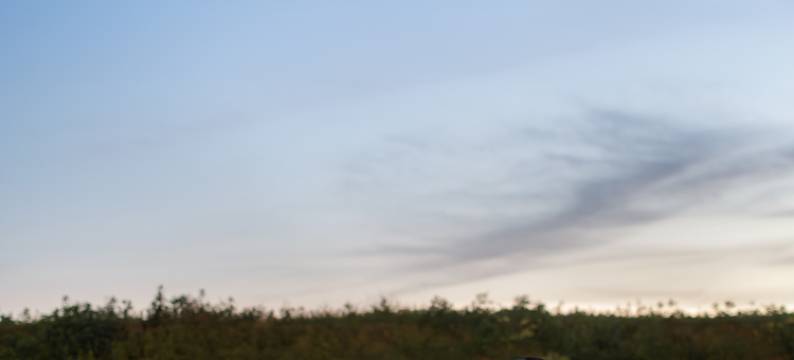 西双版纳景洪山宥木民宿(勐泐大佛寺曼贺纳景区店)图片