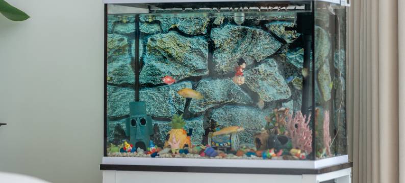 安吉 | 那月湾MOON亲子度假民宿(熊猫部落探险乐园店)图片