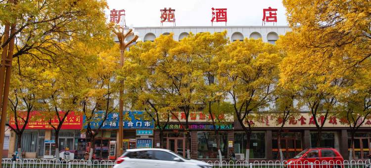 新苑智慧酒店图片