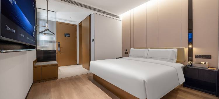 绵阳高铁站涪城万达广场亚朵酒店图片