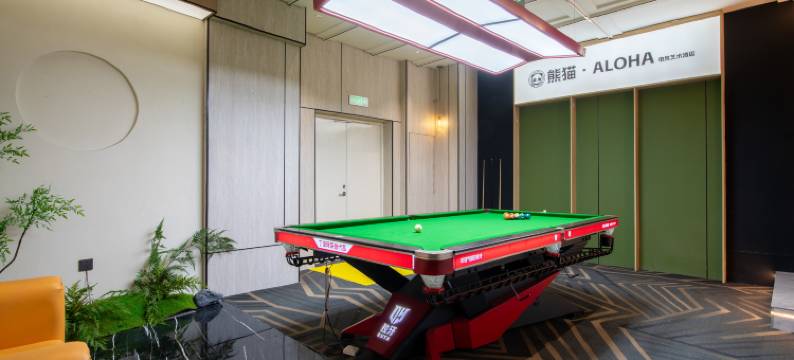 界首熊猫·ALOHA电竞艺术酒店图片