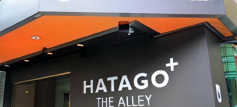 HATAGO+  THE ALLEY图片