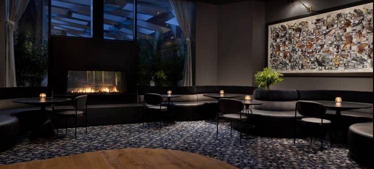 蒂姆布里酒店旧金山，希尔顿 Curio Collection(Timbri Hotel San Francisco, Curio Collection by Hilton)图片