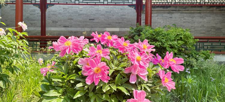 朗丽兹太和府酒店图片