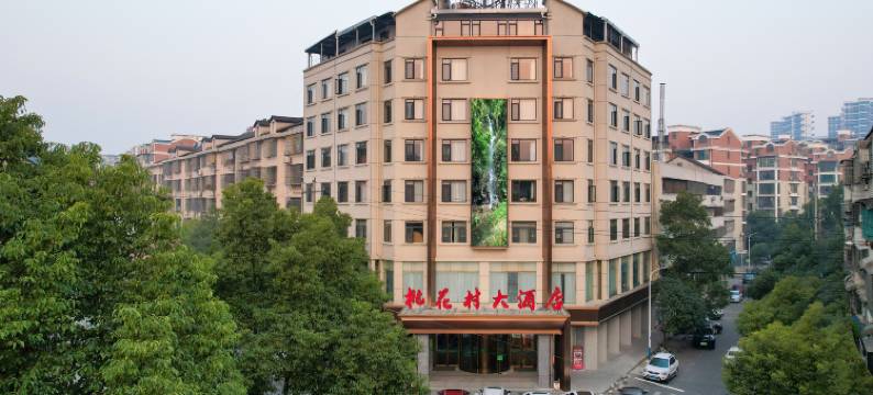 桃江桃花村大酒店图片